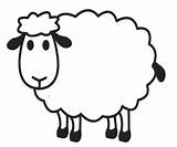 Domba Mewarnai Untuk Kambing Hewan Hasil Asdk Lucu sketch template