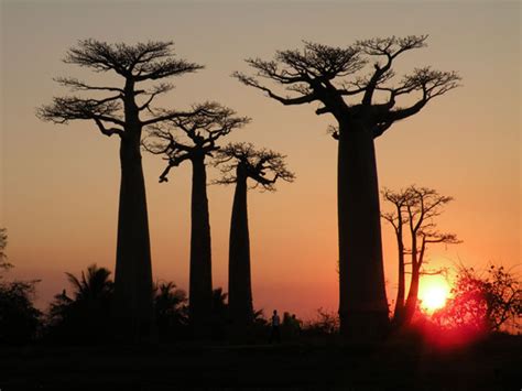 trek  voyage plongee  madagascar