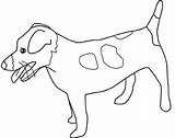 Jack Russell Coloring Terrier Pages Dog Drawings sketch template