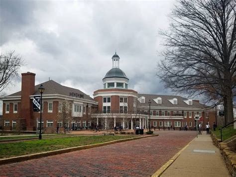 Ohio University Suspends All Fraternities After 7 Hazing Allegations