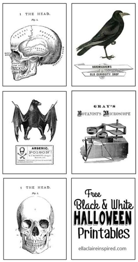 black  white  vintage halloween printables printable templates