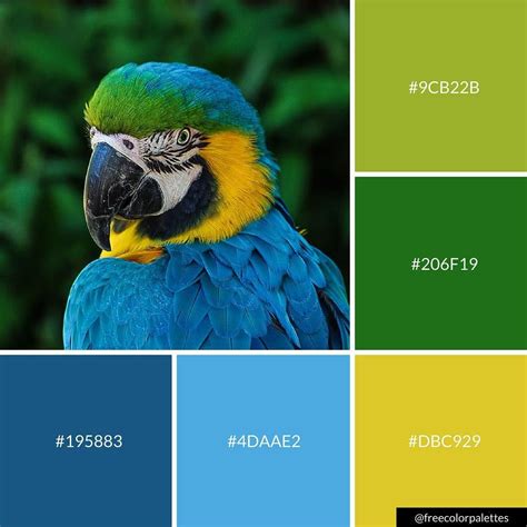 parrot blue  green color palette inspiration digital art