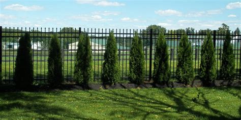 economical privacy fence ideas styling options smucker fencing blog