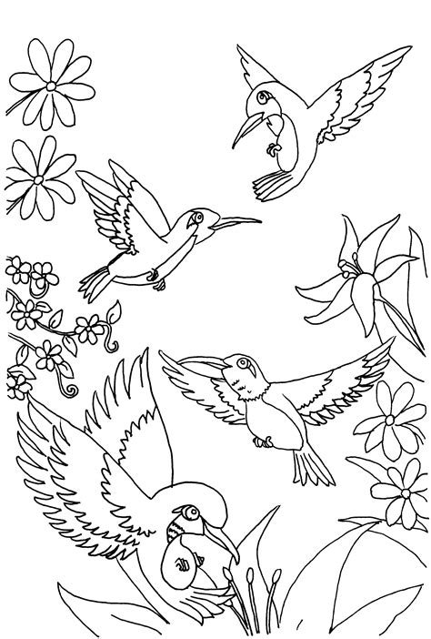 printable hummingbird coloring pages printable word searches