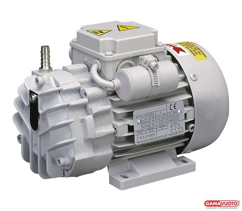 vacuum pumps without lubrication gpzs 5