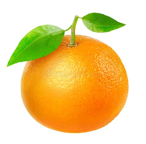 Tangerine Stock Image Image Of Fruit Mandarin Leaf 41362885