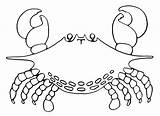 Mewarnai Kepiting Crabe Crabes Granchio Coloriages Krab Kolorowanki Dzieci Cangrejos Marine Paud Animali Coloradisegni Crustacean Macam Berbagai Ikan sketch template