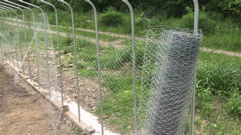 build garden fence  chicken wire rabbit proof garden