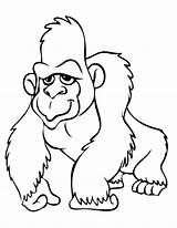 Gorilla Coloring Pages Color Kids Print Gif sketch template
