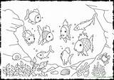 Rainbow Trout Everfreecoloring Getdrawings sketch template