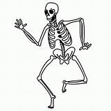 Squelette Tulang Dewasa Lahir Bayi Menjadi Ketika Kok Skelett Feiertage Greatestcoloringbook Fensterbilder Azcoloring sketch template
