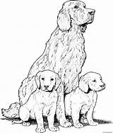 Coloring Breed Dog Pages Printable sketch template