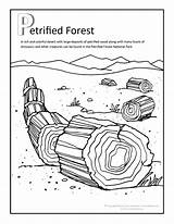 Petrified Coloring Forest Pages Wood Printable Fun Easy Arizona Parks National sketch template