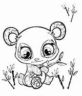 Coloring Animal Pages Getdrawings Complex sketch template