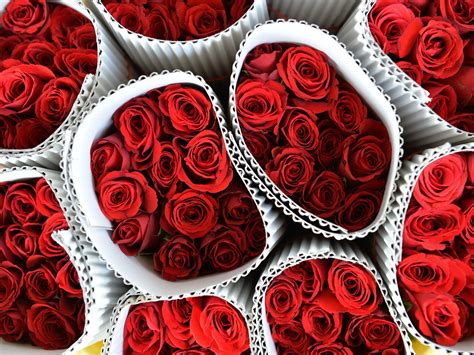 Valentine S Day Roses Why It S Time To Skip The Lazy Man S Flower