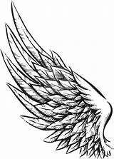Wings Angel Drawing Simple Wing Clipartmag sketch template