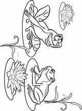 Frog Coloring Pages Princess Disney Book Frogs Drawings Colouring Animal Outline Tiana Choose Board Sheets Easy sketch template