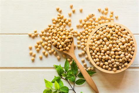nutritional benefits  soy protein  soy fiber