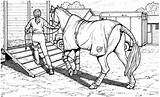 Pferde Ausdrucken Malvorlagen Malvorlage Turnier Trailer Mandalas Gotta Horses Ausmalbildkostenlos Visitar sketch template