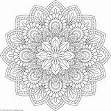 Mandalas Mandala Coloring Pages Flower Printable Adult Colouring Getcoloringpages Drawing Geometric Sheets Para Color Flowers Books Guardado Desde Painting Imprimir sketch template