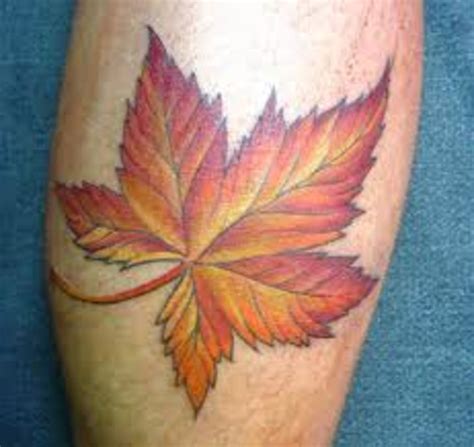 leaf tattoo designs maple leaves fall leaves   tatring