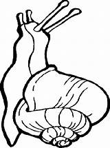 Slakken Snail Schnecken Siput Colorare Snails Ausmalbilder Mewarnai Ausmalbild Bergerak Dieren Slak Coloriages Animasi Malvorlagen Lumache Escargots Schnecke Animierte Maak sketch template
