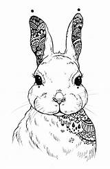 Mandala Mandalas Hase Seni Rabbit Hare Rupa Terapan Karya Jenis Menagerie Conejo Baru Cabeza Zentangle Ausmalbilder Ausmalen Dimensi Ears Conejos sketch template