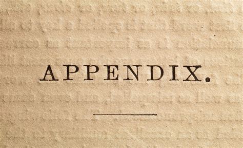 definition  appendix   book  written work