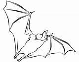 Bat Printable Coloring sketch template