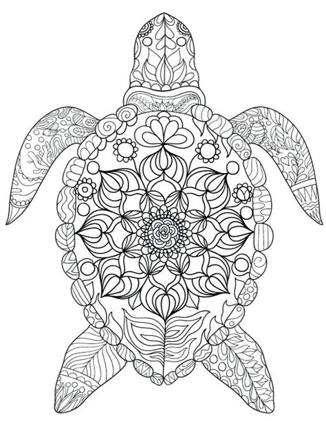 baby sea turtle drawing  getdrawings