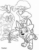 Paw Patrol Tracker Coloring Pages Jungle Color Getcolorings Print Getdrawings sketch template