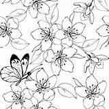 Cherry Blossom Coloring Pages Tree Japanese Colouring Getdrawings Lovely Printable Getcolorings Color sketch template