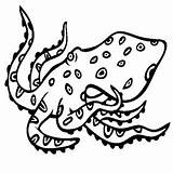 Octopus Ringed sketch template