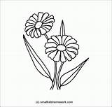 Outline Flower Daisy Flowers Drawing Coloring Zinnia Getdrawings Popular Coloringhome sketch template