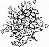 Sampaguita Flower Outline Sketch Drawing Jasmine Simple Flowers Paintingvalley Tattoo Arrangement Designs Background Istockphoto Choose Board Kaynağı Makalenin sketch template