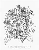 Daisy Coloring Pages Flower Printable sketch template