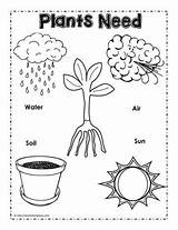Plants Need Plant Needs Poster Worksheets Preschool Activities Kids Kindergarten Coloring Do Pages Science Worksheet Parts Sunlight Worksheetplace Learning Classroom sketch template