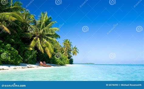 beautiful tropical beach stock photo image  scenic