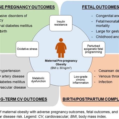 association of maternal obesity with adverse pregnancy outcomes fetal