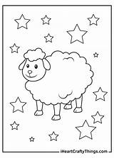 Sheep Coloring Pages Color Baa Printable Others Varies Bald Spotted Pure Chocolate While Brown Dark Some sketch template