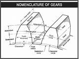 Nomenclature Familiar sketch template