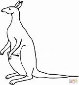 Kangaroo Drawing Kids Outline Color Clipart Colouring Coloring Line Cliparts Mother Clip Gif Pages Getdrawings Simple Print Attribution Forget Link sketch template