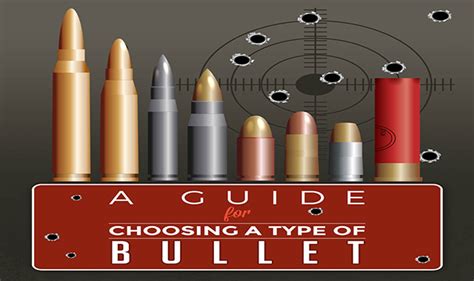 guide  choosing  type  bullet infographic visualistan