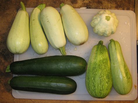Different Types Different Types Of Squash