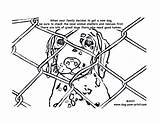 Shelter Coloring Animal Pages Dogs Dog Colouring Drawing Shelters Girl Control Stop Adoption Cruelty Print Getdrawings Scouts Kids Paw Choose sketch template