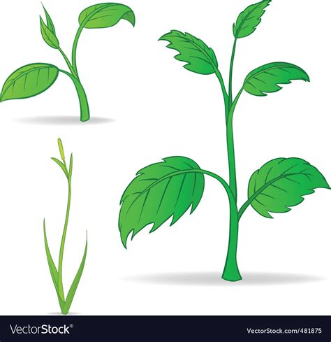 set  green cartoon plants royalty  vector image