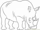 Rhino Horned Coloringpages101 Rhinoceros sketch template