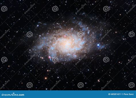 triangulum galaxy stock image image  twinkle infinite
