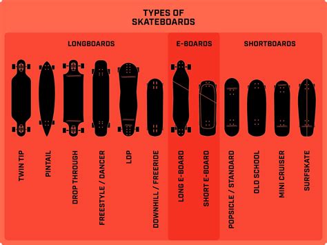 beginners guide types  skateboards fireball supply