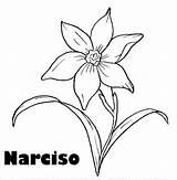Pintar Narcisos sketch template